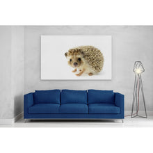 Load image into Gallery viewer, Hedgehog Close Up Selfie