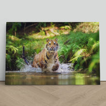 Load image into Gallery viewer, Siberian Tiger Running in Water