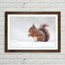 Load image into Gallery viewer, Red Squirrel in Snow England Winter