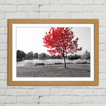 Load image into Gallery viewer, Red Tree Park Bench Lake Nature