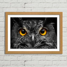 Load image into Gallery viewer, Cute Owl Staring