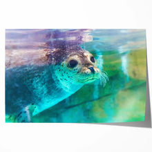 Load image into Gallery viewer, Spotted Seal Close Up