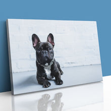 Load image into Gallery viewer, French Bulldog Puppy Cute Pet