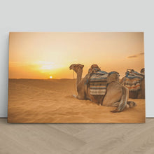 Load image into Gallery viewer, Camel in Sahara Desert at Sunset