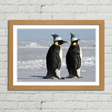 Load image into Gallery viewer, Antarctic Penguins with Santa Hats Christmas