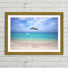 Load image into Gallery viewer, Dolphins Jumping Thailand