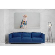 Load image into Gallery viewer, Cat on Holiday in Shirt Hat Funny Cute