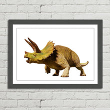 Load image into Gallery viewer, Triceratops Dinosaur Reptile