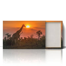 Load image into Gallery viewer, Giraffe in Kruger Park