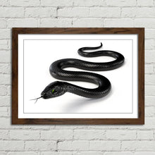 Load image into Gallery viewer, Black Snake with Forked Tongue