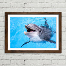 Load image into Gallery viewer, Dolphin Smiling Cute