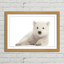 Load image into Gallery viewer, Polar Bear Cub Baby