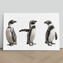 Load image into Gallery viewer, Cute Humboldt Penguin Family