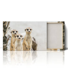 Load image into Gallery viewer, Meerkats Group Cute
