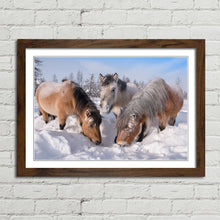 Load image into Gallery viewer, Horses in the Snow