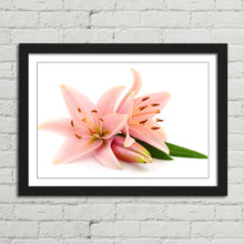 Load image into Gallery viewer, Pink Lillies Flowers