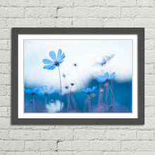 Load image into Gallery viewer, Delicate Blue Flowers