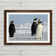 Load image into Gallery viewer, Penguins at Christmas Arctic Santa Hat