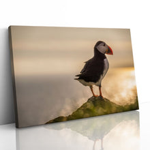 Load image into Gallery viewer, Atlantic Puffin in Mykines