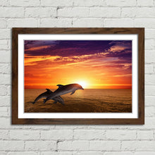 Load image into Gallery viewer, Dolphins Jumping at Sunset