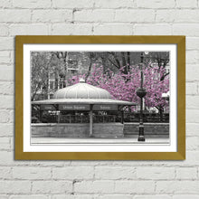 Load image into Gallery viewer, Pink Blossom Tree New York Subway