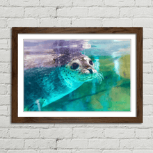 Load image into Gallery viewer, Spotted Seal Close Up