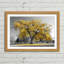 Load image into Gallery viewer, Large Tree with Yellow Leaves Central Park