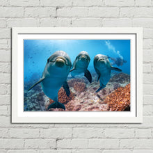 Load image into Gallery viewer, Cute Dolphins Underwater