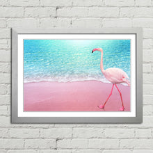 Load image into Gallery viewer, Pink Flamingo on Beach Aruba