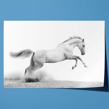 Load image into Gallery viewer, Stallion Horse Equestrian