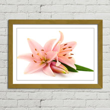 Load image into Gallery viewer, Pink Lillies Flowers