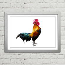 Load image into Gallery viewer, Rooster Cock Cockerel