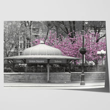 Load image into Gallery viewer, Pink Blossom Tree New York Subway