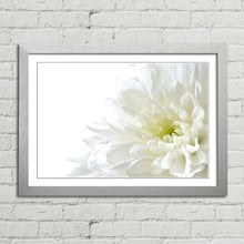 Load image into Gallery viewer, White Flower