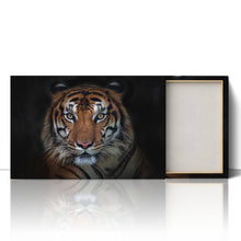 Load image into Gallery viewer, Sumatran Tiger Staring