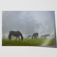 Load image into Gallery viewer, Horse Herd in Autumn