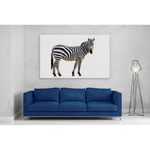 Load image into Gallery viewer, Zebra Staring Close Up