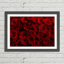 Load image into Gallery viewer, Fresh Red Roses Love Bunch