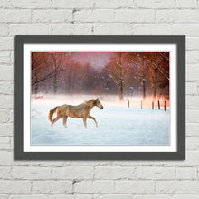 Load image into Gallery viewer, Horse Running in Snow