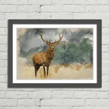 Load image into Gallery viewer, Red Deer Stag Watercolour Painting