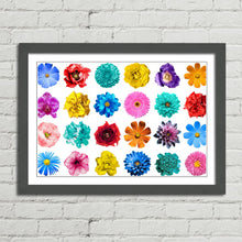 Load image into Gallery viewer, Flowers of various Colours