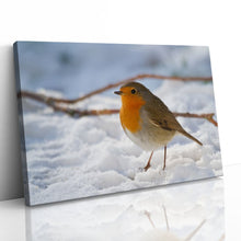 Load image into Gallery viewer, Robin Red Breast Winter Christmas Snow