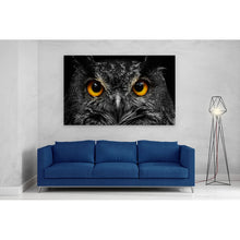 Load image into Gallery viewer, Cute Owl Staring