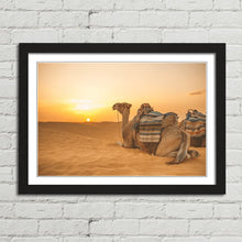 Load image into Gallery viewer, Camel in Sahara Desert at Sunset