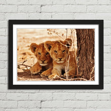 Load image into Gallery viewer, Cute Lion Cubs