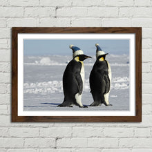 Load image into Gallery viewer, Antarctic Penguins with Santa Hats Christmas