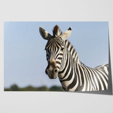 Load image into Gallery viewer, Zebra Safari in Africa