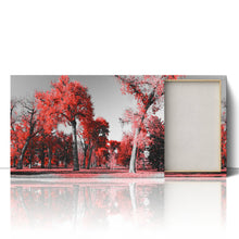 Load image into Gallery viewer, Red Trees in Central Park New York