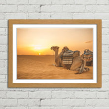Load image into Gallery viewer, Camel in Sahara Desert at Sunset