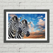Load image into Gallery viewer, Wild Zebras in Africa
